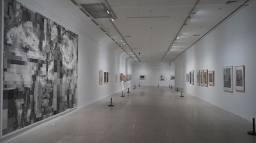 湖北美术馆美食,湖北美术馆里面有什么