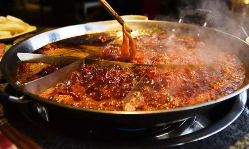 湖北美食探秘，火锅中的毛肚与湖北人的火锅情缘