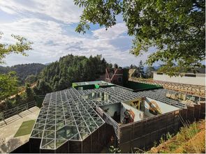 湖北枫林景点与集团探秘，自然美景与企业风采