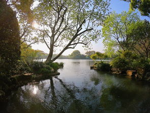 湖北杭州旅游住宿,杭州旅游哪里住宿比较便宜