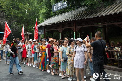 湖北跨省旅游政策,湖北跨省旅游政策最新