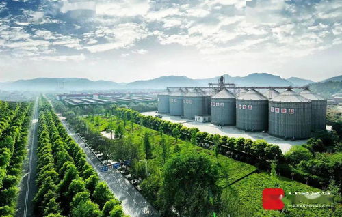 湖北独特工业旅游之旅，平行线揭秘之旅