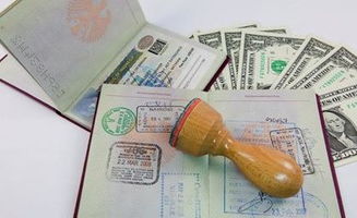 湖北旅游签证延期办理指南与上海顶尖癌症治疗医院揭秘