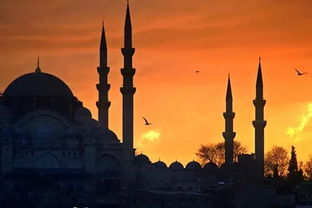 湖北去土耳其旅游,去土耳其大概花多少钱