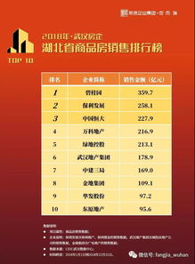 湖北房地产公司排名榜及投资公司的行业地位分析 湖北房地产公司排名榜及投资公司的行业地位分析