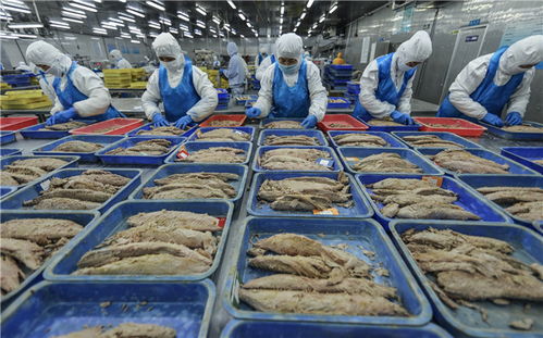 西藏援助湖北，美食支援行动