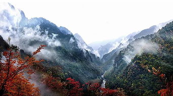 湖北神农架探秘之旅，自然风光的绝美画卷