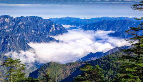 湖北神农架探秘之旅，自然风光的绝美画卷