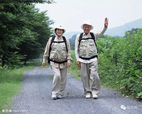 湖北老年人旅游，适合老人的湖北之旅