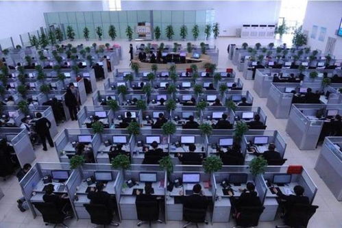 湖北房产电销机器人与房地产电销机器人的最新报价