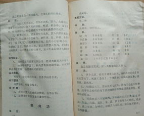 湖北美食文化，英语翻译简介