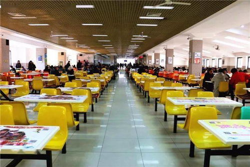 湖北美院食堂美食有哪些,湖北美术学院食堂招标