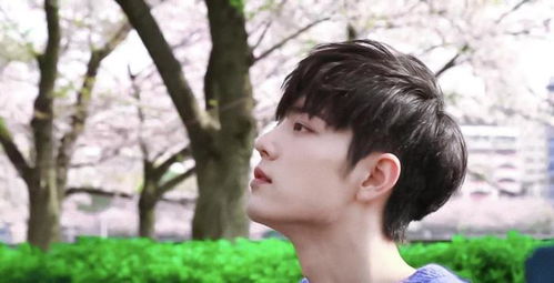 肖战参观湖北美食视频,武汉之行揭秘! 肖战参观湖北美食视频,武汉之行揭秘!