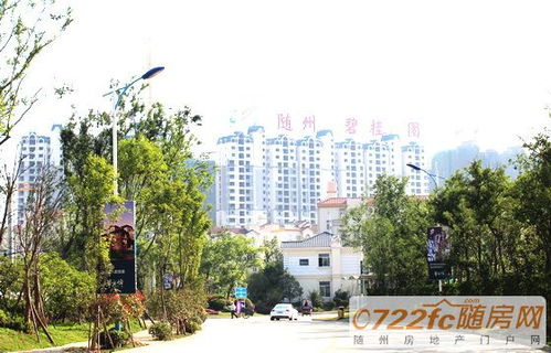 碧桂园湖北房产项目简介，碧桂园在湖北的房地产发展