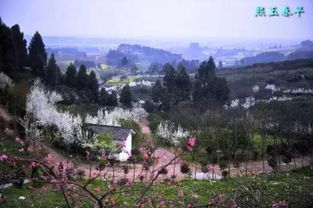 湖北葛仙山美食探秘，寻找葛仙山的味蕾之旅