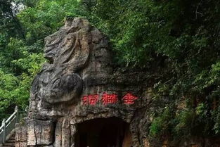 湖北知名旅游专家揭秘，湖北旅游杂志带你领略美景之旅