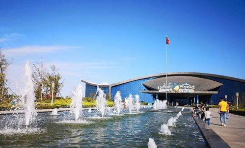 湖北免费旅游体验探秘，旅游体验馆地点揭晓