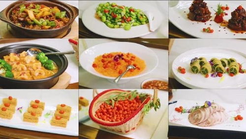 湖北美食创新与发展，探索美食文化的新篇章