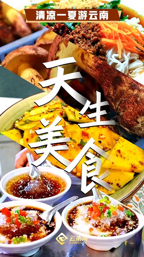 云南与湖北美食差异解析，两大美食文化对比