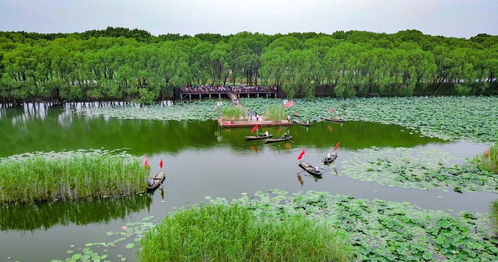 湖北旅游洪湖,洪湖旅游景点自驾游