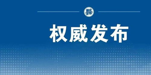 湖北房产销量冠军揭秘，谁拔得头筹？