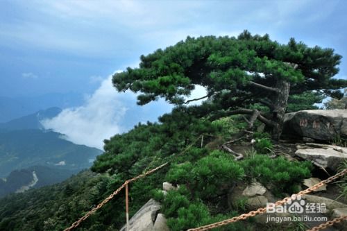 湖北罗田旅游事件引发关注，罗田风景区成焦点