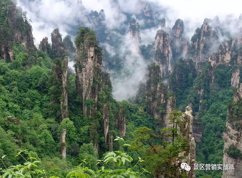 湖北天门周边旅游攻略,游玩景点推荐 湖北天门周边旅游攻略,游玩景点推荐