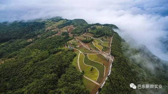 湖北低成本旅游指南，探索湖北最实惠的旅游胜地