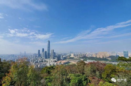 湖北房产最新动态2022，契税规定调整与楼市展望