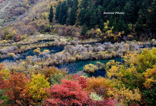 湖北秋季旅游胜地推荐，秋日赏景好去处