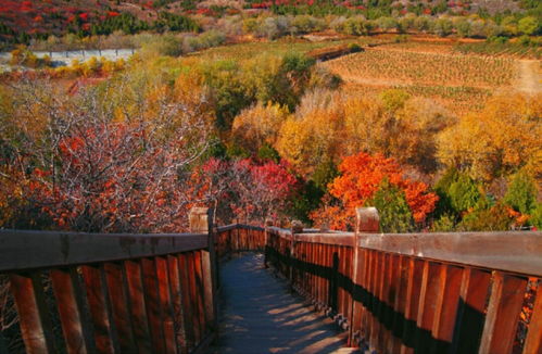 湖北秋季旅游胜地推荐，秋日赏景好去处
