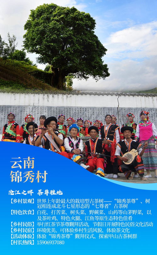 湖北乡村团队旅游,发展现状与展望 湖北乡村团队旅游,发展现状与展望