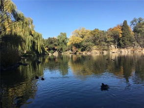 湖心岛旅游攻略揭秘，湖北湖心岛面积与旅游体验