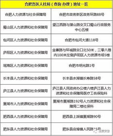 湖北房产契税办理地点详解及查询指南