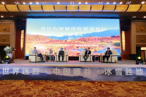 湖北奇合旅游与奇好科技，探索之旅与科技创新的完美结合