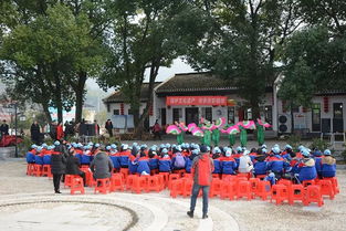 湖北乡村旅游政策最新动态与热门景点推荐