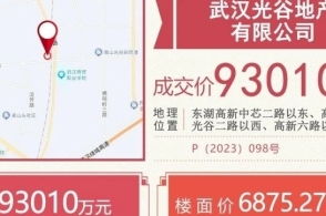 湖北武汉房产中介公司概览