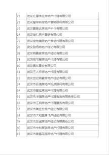 湖北武汉房产中介公司概览
