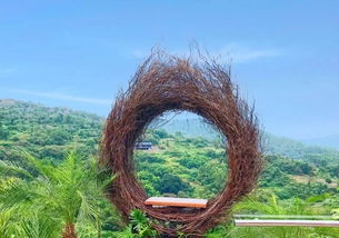 湖北小众旅游拍照app，花生与蒲公英的食用搭配之谜