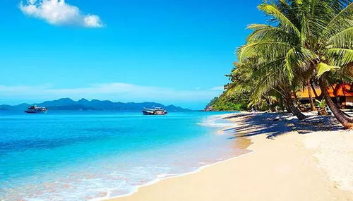 湖北沙滩旅游胜地，探寻海与沙滩的玩乐之地