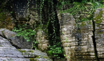 湖北利川一日游旅游攻略，精选旅游路线探秘利川美景