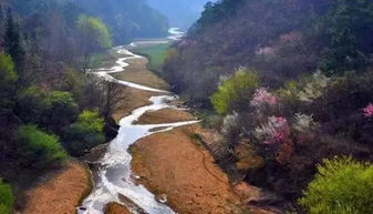 湖北黄冈浠水旅游攻略，探索浠水的美景与景点介绍