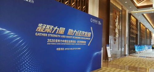 湖北房产投资公司装修与房地产投资有限公司待遇探讨