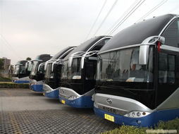 湖北省旅游车出租,湖北旅游大巴车出租