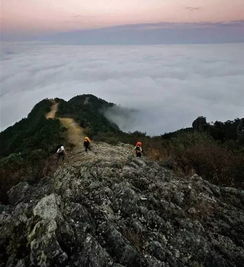 湖北旅游爬山之旅，探寻猴子的足迹与值得攀登的山峰