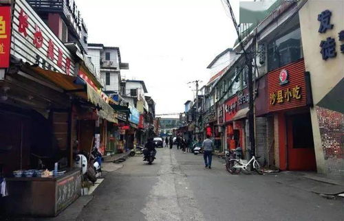 湖北美院小吃街美食与老校区地址揭秘