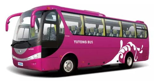 湖北豪华旅游大巴路线探秘，体验湖北省内旅游大巴之旅