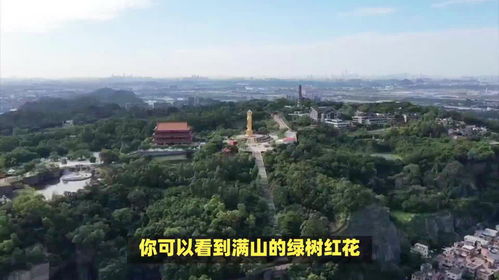 湖北鄂州旅游攻略,湖北鄂州旅游景点