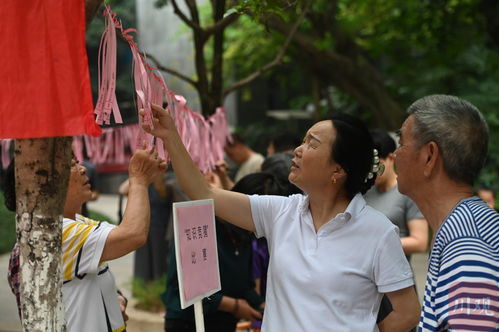 带老婆去湖北旅游好吗视频,带老婆去郊游