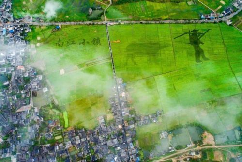 湖北小伙去云浮旅游,2021年11月18号日子好不好